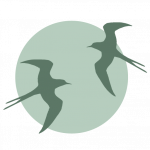 Logo de Zwaluw Coaching